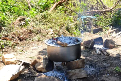 DSC_8158 (Large).JPG